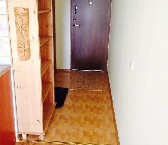 Apartment A Cozy Central Studio Druskininkai